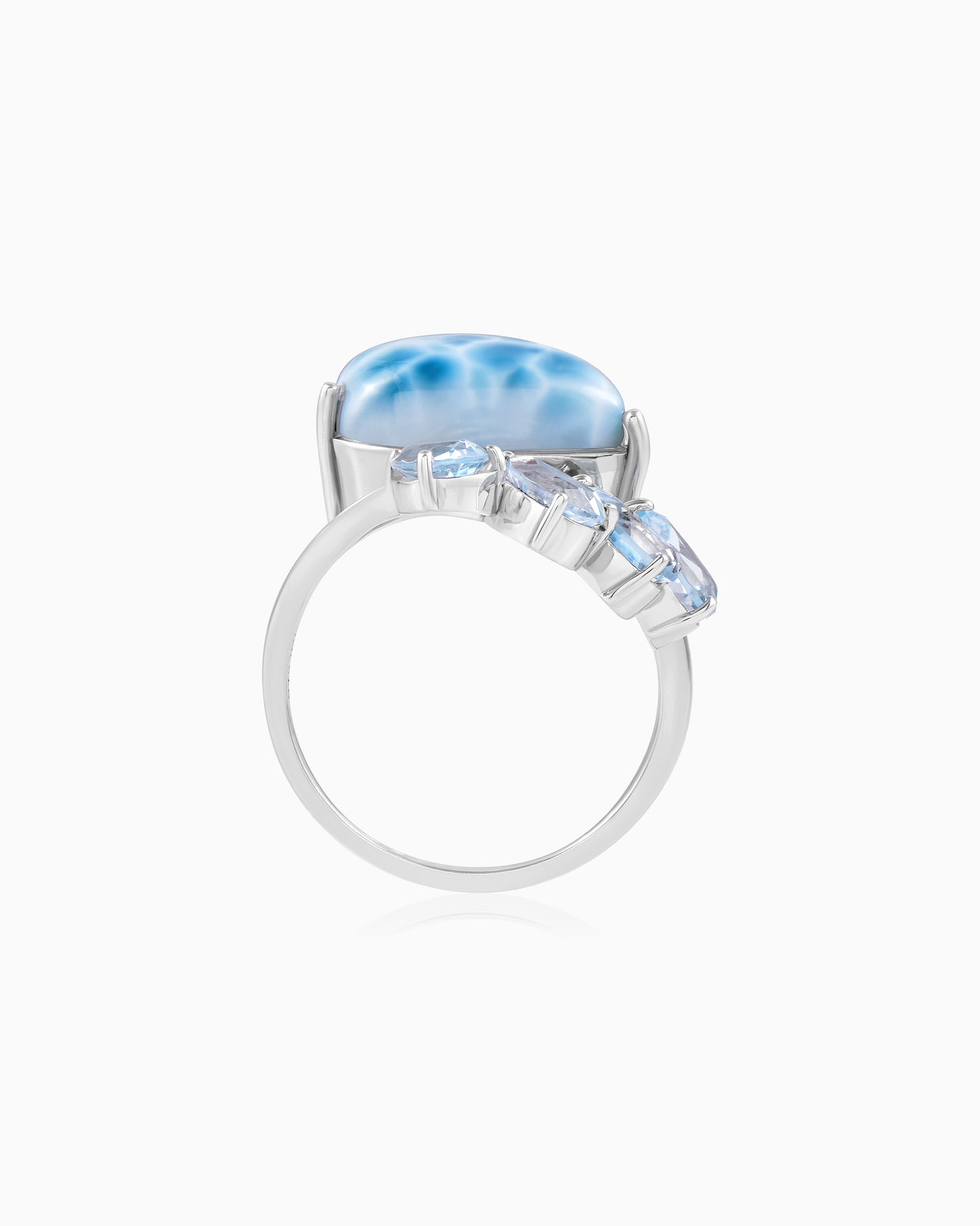 Floating Ocean Ring