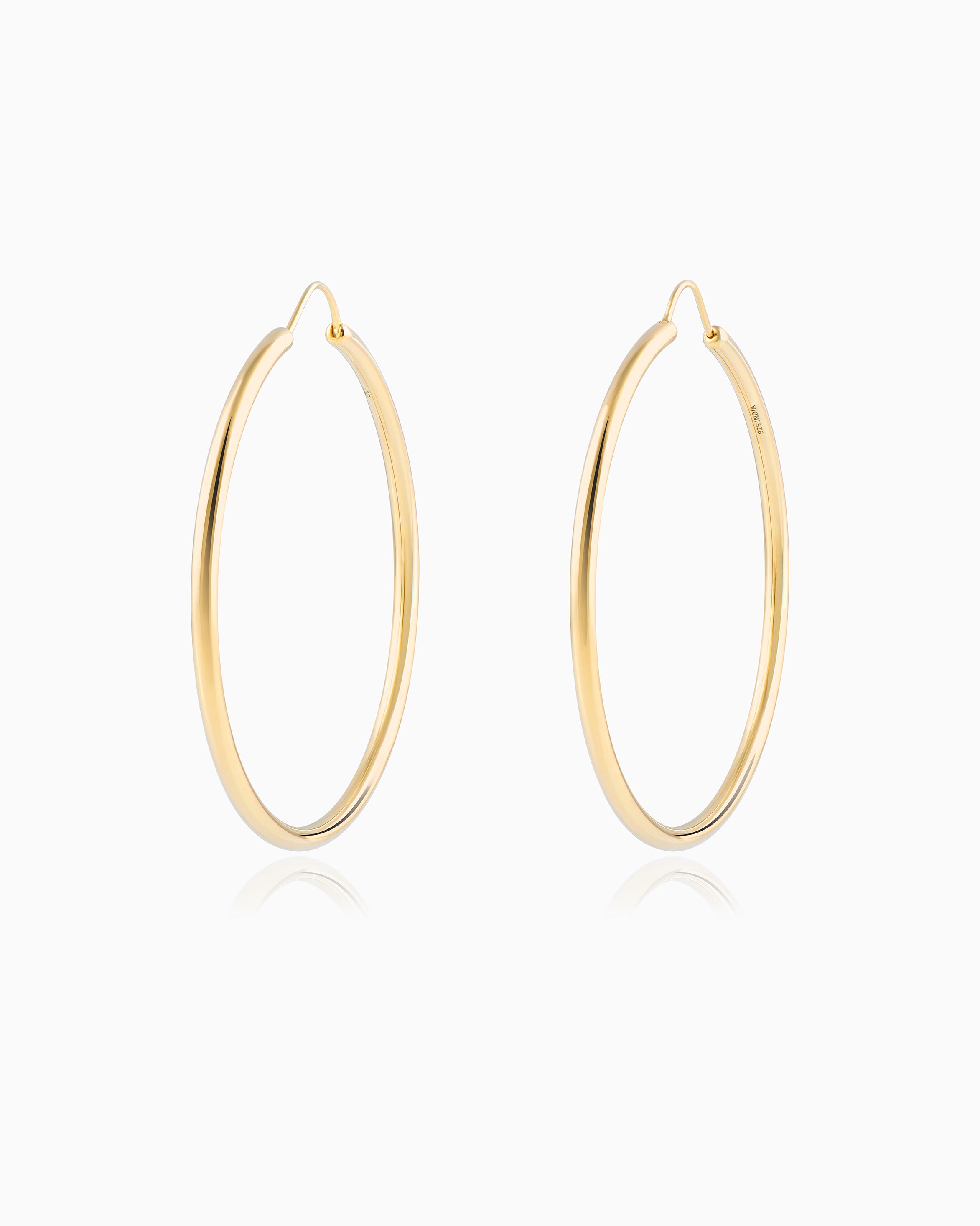 Large Gold Hoop Earrings
