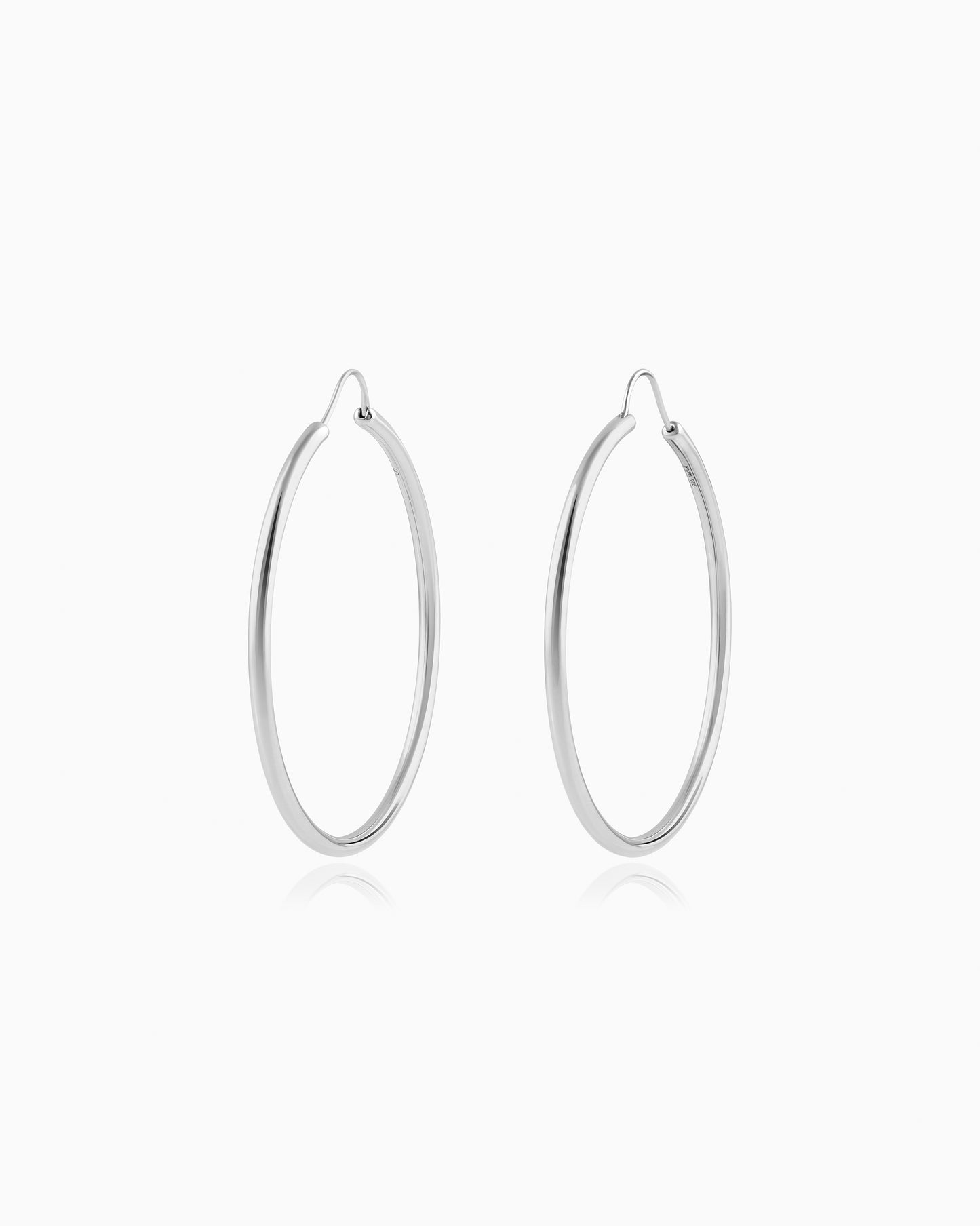 Large Hoop Earrings