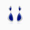 Hsbd-iryt Drop Earrings