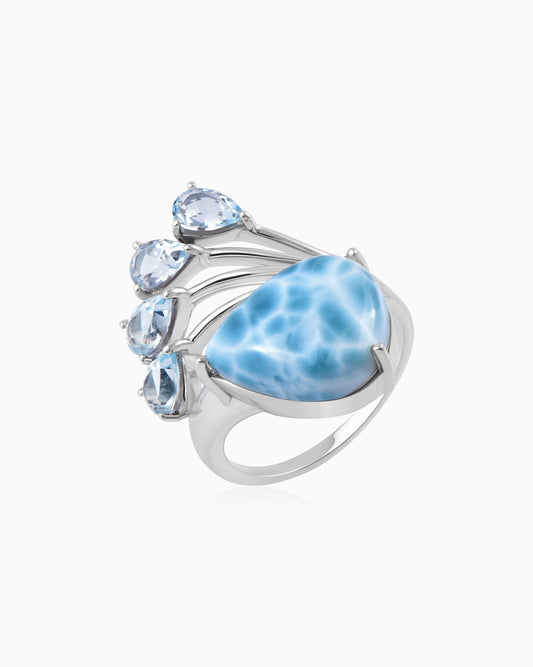 Floating Ocean Ring