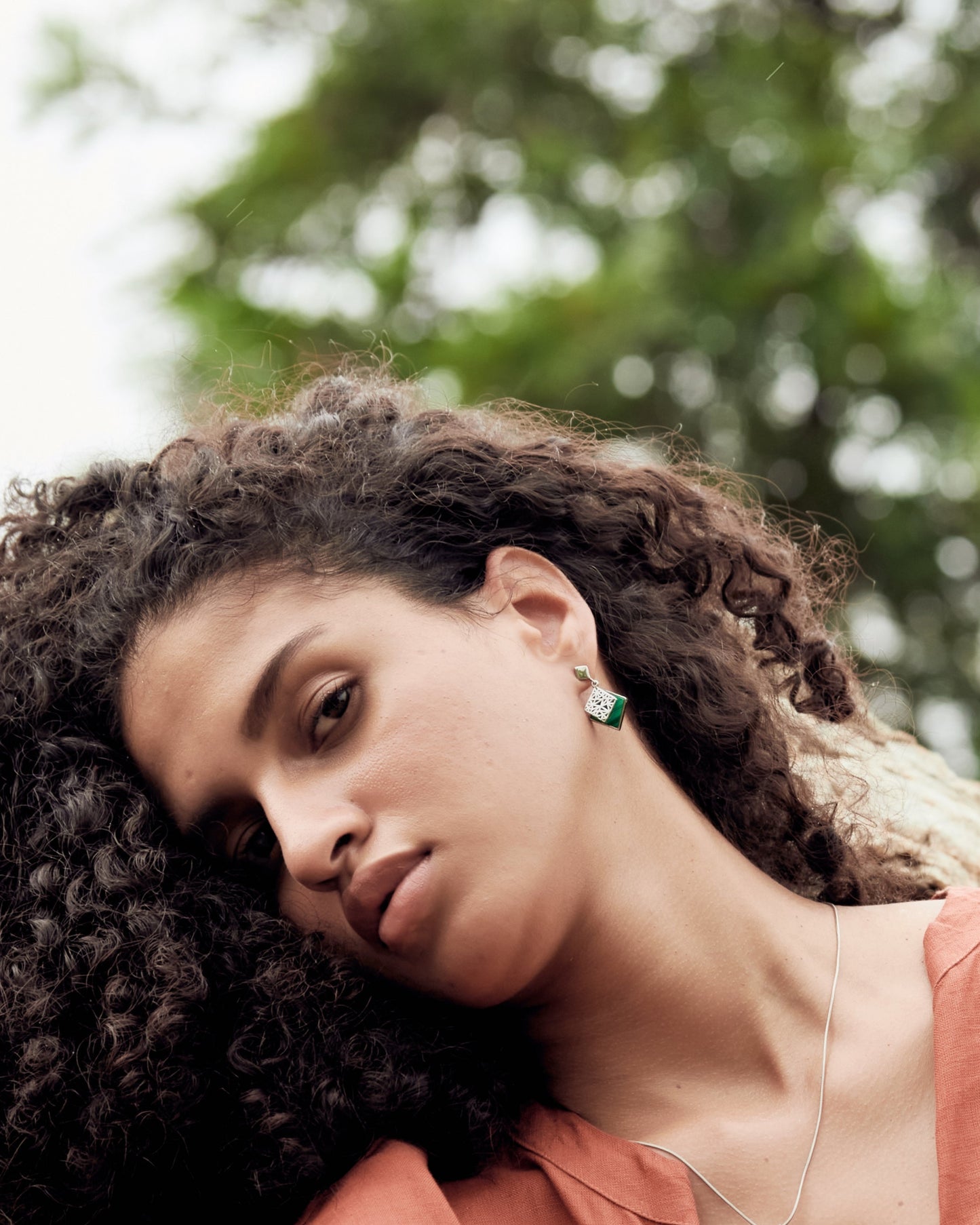 Savanna Crest Earrings