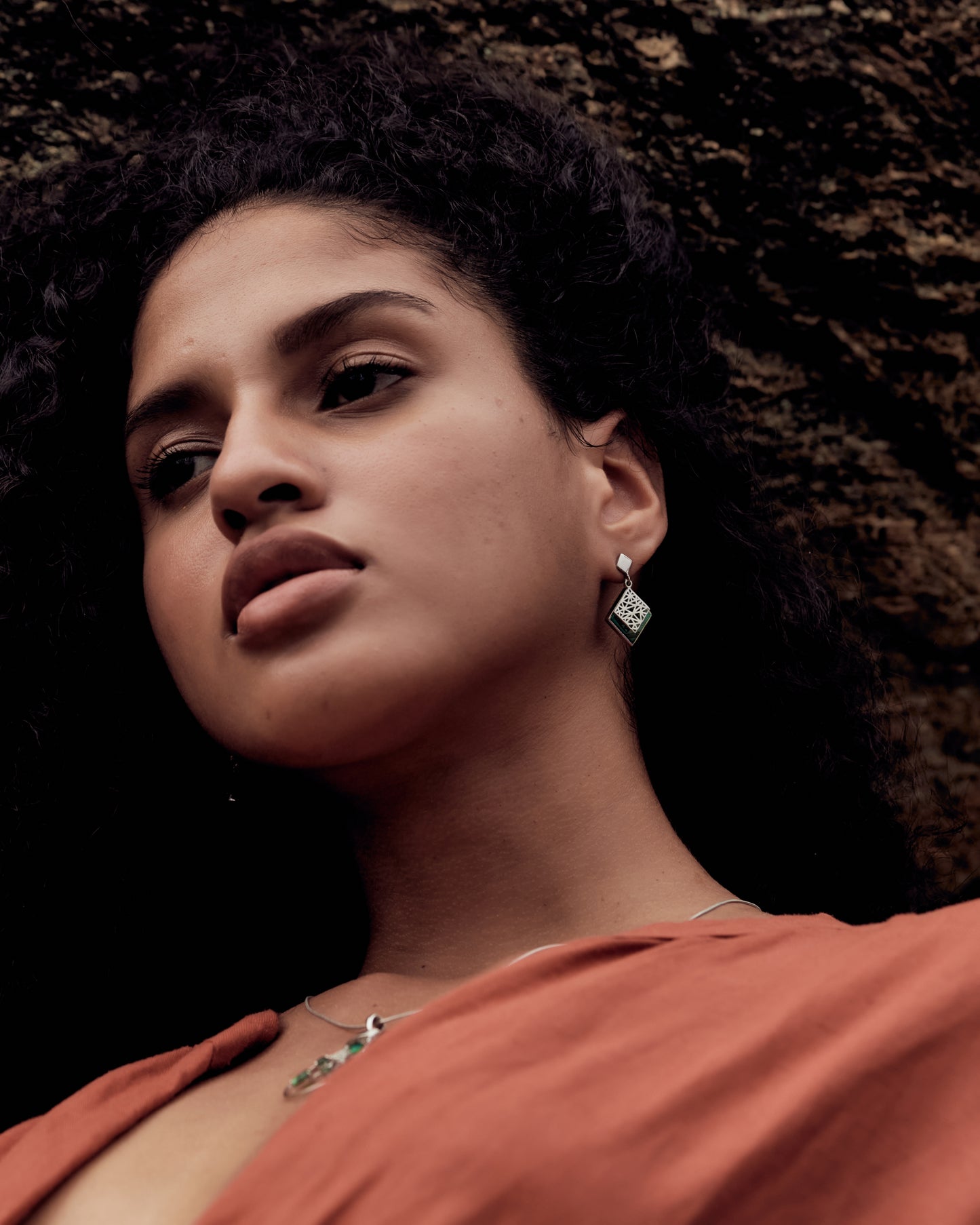 Savanna Crest Earrings