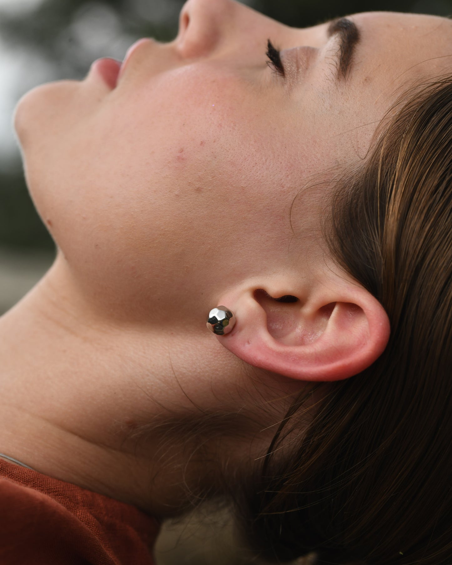 Lustre Crest Studs — Silver
