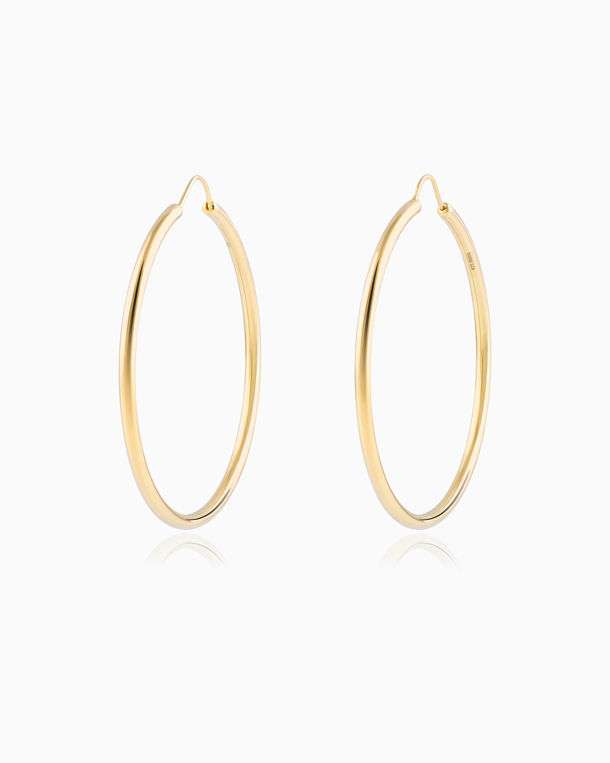 Large Gold Hoop Earrings