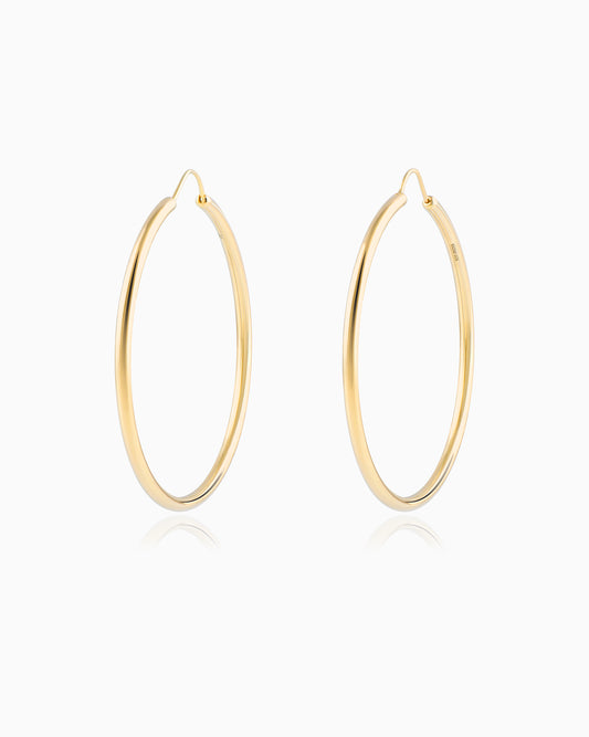 Large Gold Hoop Earrings