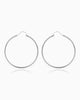 Large Hoop Earrings